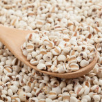 Hạt bo bo - hạt Ý Dĩ - 1kg