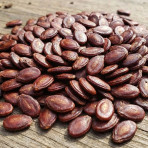 Hạt dưa Hạt dưa