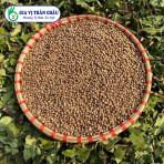 Hạt ngò gói 500gr